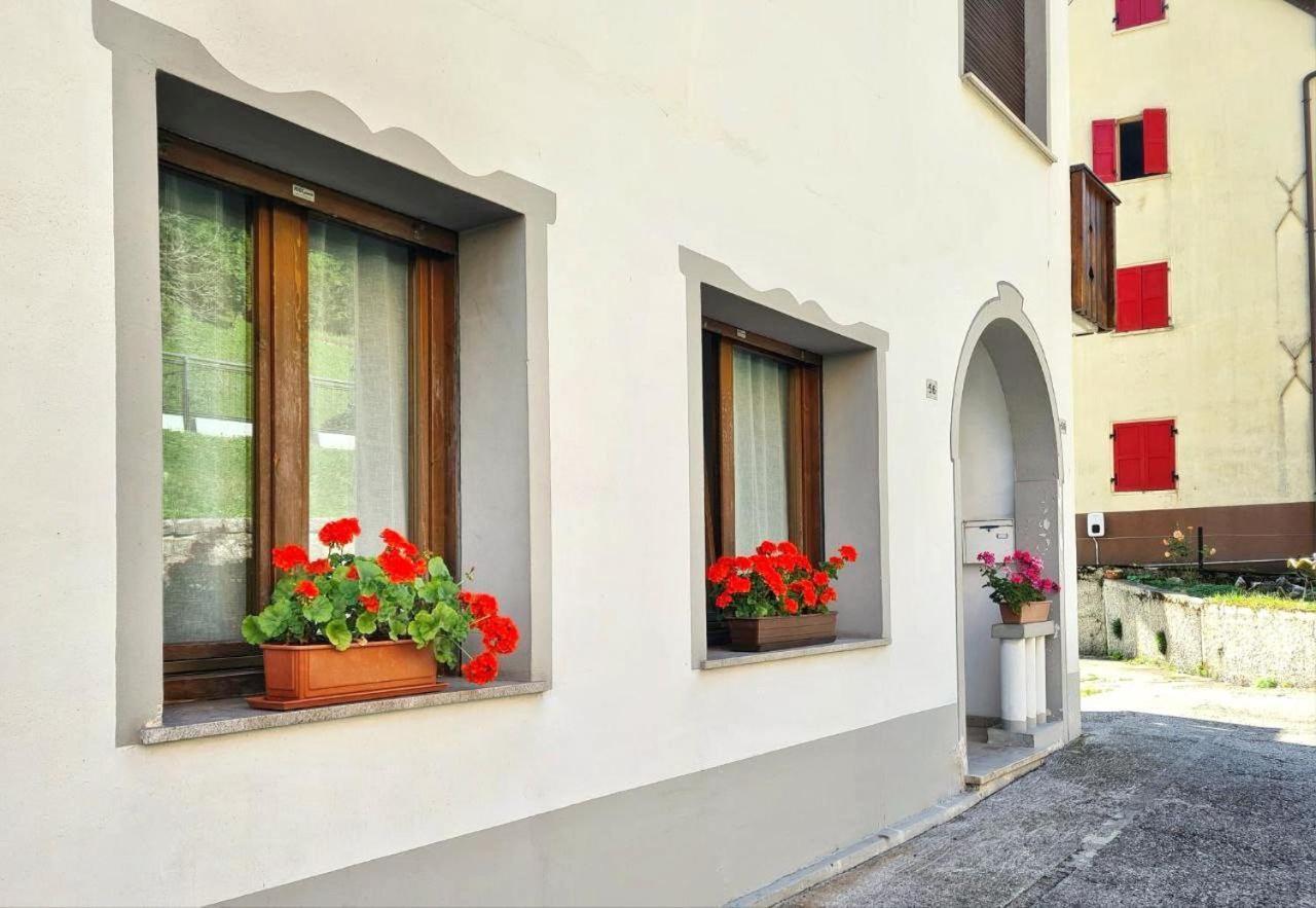 Appartamento Jever House Rigolato Exterior photo